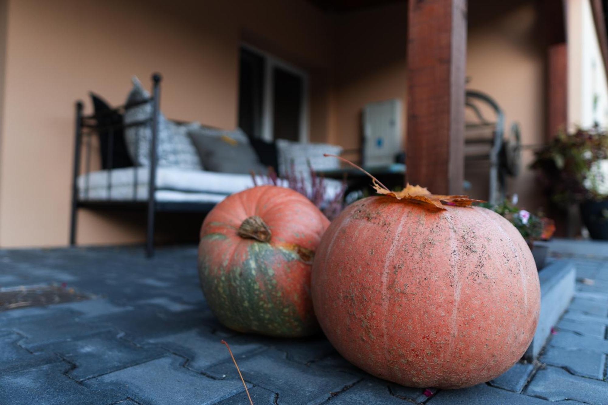 Chodzież Uroczysko Olesnica Bed & Breakfast エクステリア 写真