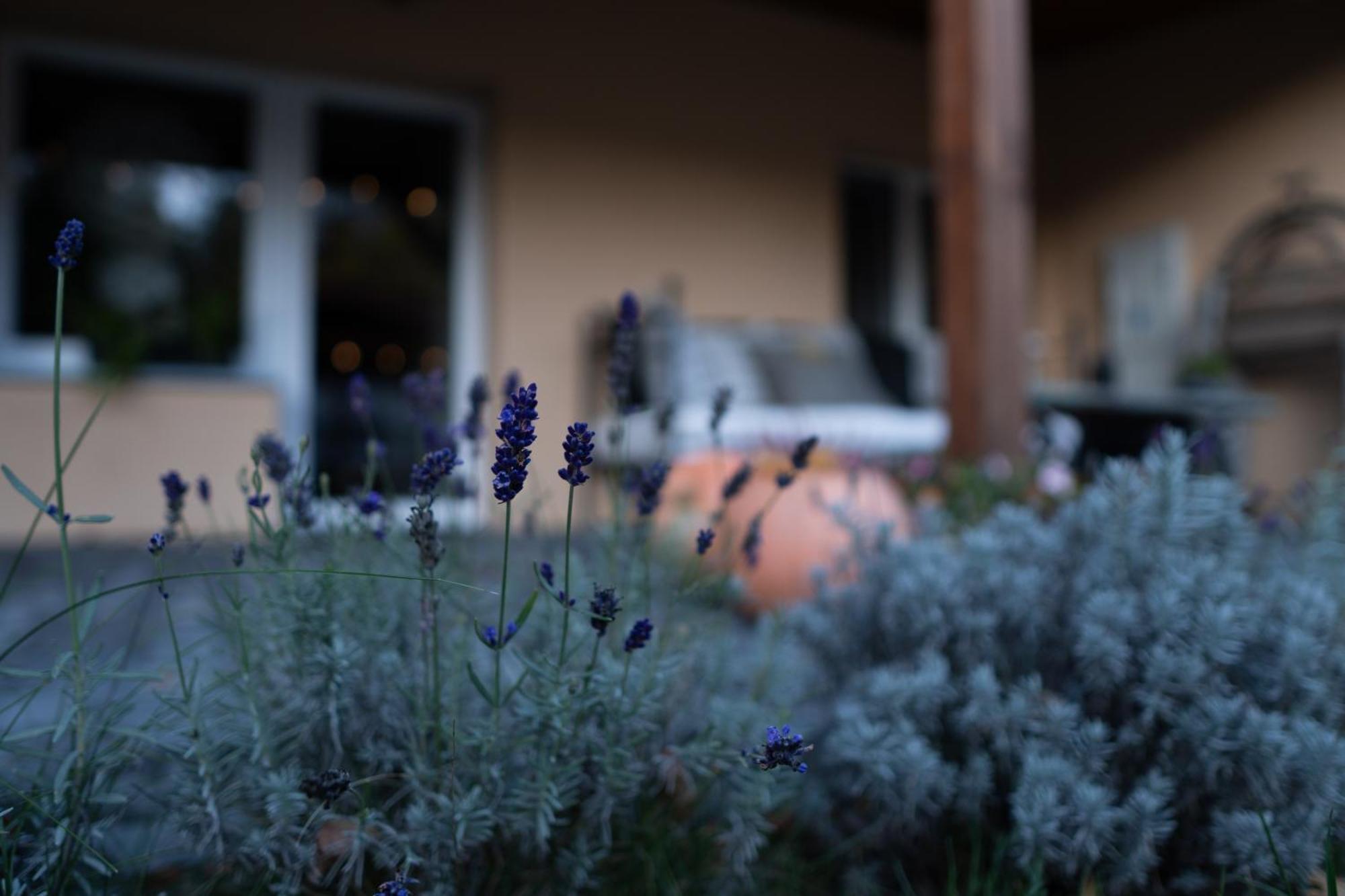 Chodzież Uroczysko Olesnica Bed & Breakfast エクステリア 写真